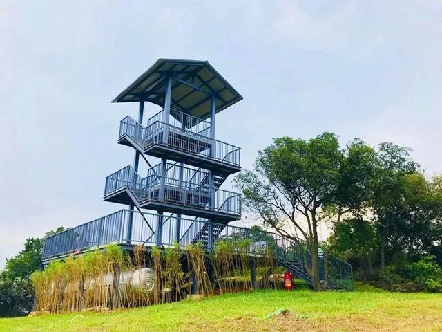 跟着赛事游鹤山！动起来！用运动方式打开鹤山～