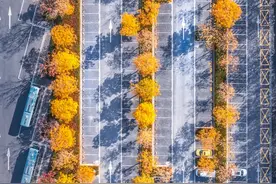 颜值超高！松江这个停车场即可拍出秋冬大片图片