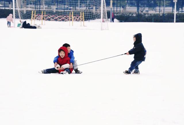 听雪落枝头，看松滋成画