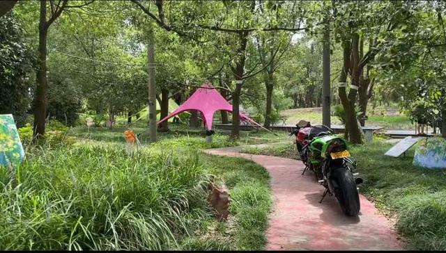 上海公园总数达到1100座！三林滨江城市森林“水森林”已基本建成，计划今年春天开放