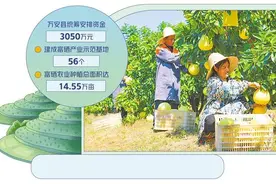 江西万安发展富硒功能农业——生态红利提升农产品效益图片