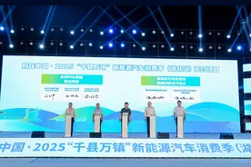 国家补贴直达乡镇 湖北孝感启动新能源汽车消费季图片