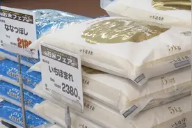 日本“米荒”！断货、价格暴涨、限购！有人称数日仅以面条为食图片