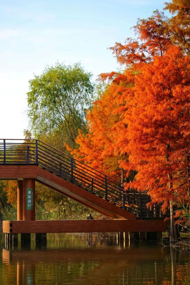 上新啦！魔都这些地方又有新玩法