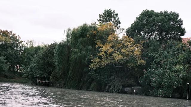 域见上海·域见奉贤｜奉浦秋日限定！这三条宝藏路线，承包所有秋日浪漫，刷爆朋友圈就靠它