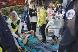 南京野猪再闯祸！撞倒老人后狂奔图片