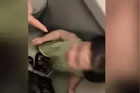 1岁女童在飞机上被强行带走？刚刚，通报来了！图片