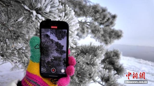 边城呼玛：雾凇冰排相互映衬 绝美冬景引游人