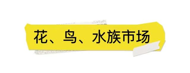 广州花胶的批发点 2026年那里有花胶批发的地方