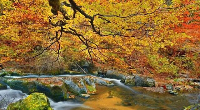 不来珲春，怎知秋色如许？（惊艳美图来袭）