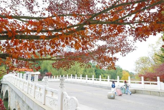 人少景美！洪山5处打卡地，周末约起