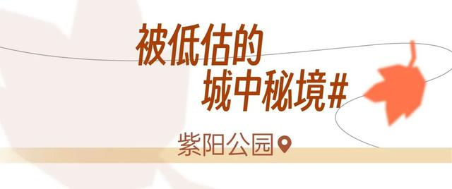 红红红红！红“枫”了！