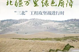 努力构筑更加牢固的北疆万里绿色屏障——“三北”工程攻坚战进行时图片