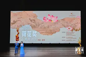 第十四届中国舞蹈“荷花奖”古典舞评奖在杭举行图片