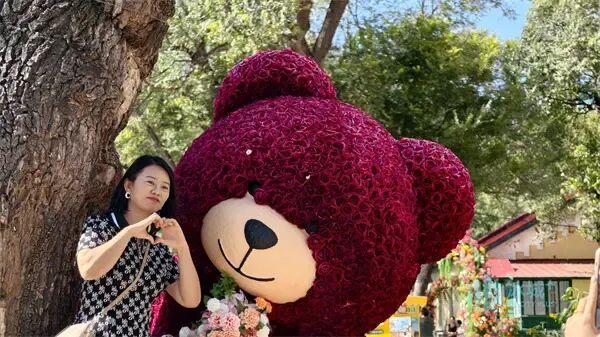 初秋哈尔滨“黄房子”引客来，市民游客乐享清爽时光