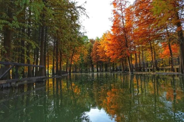 上新啦！魔都这些地方又有新玩法