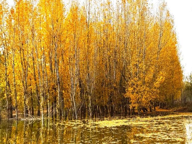 河堤秘境，藏着季节交替的温柔浪漫→