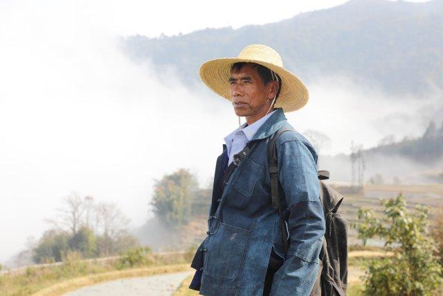 云南首个！元阳哈尼梯田入选世界灌溉工程遗产