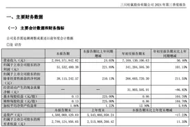 三只松鼠2024年前三季度业绩亮眼，新分销战略推动业绩增长图片