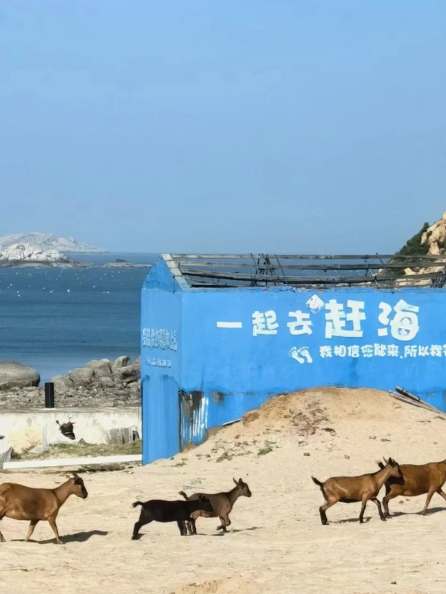 戒掉emo！来南日岛进行一次“精神离职”