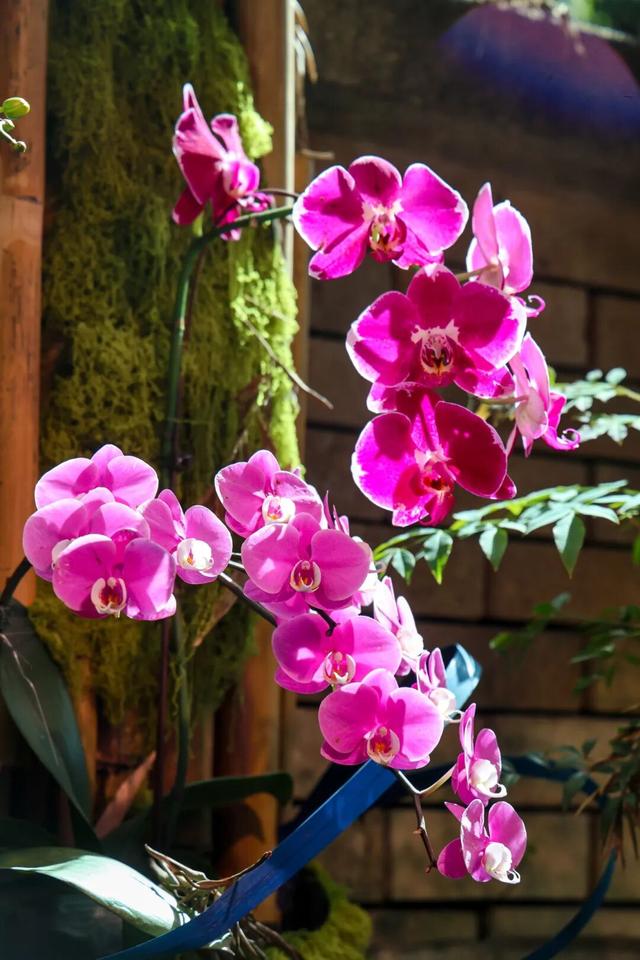 这么近，那么美！