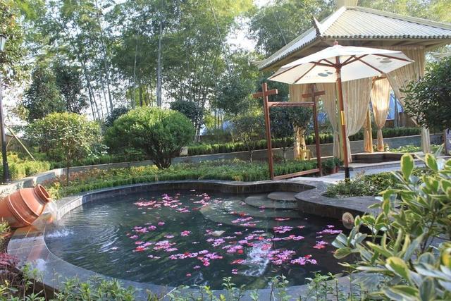 荆州赏秋地图｜不止中心城区！荆州县域秋景图鉴出炉，N个绝美点位等你来打卡！