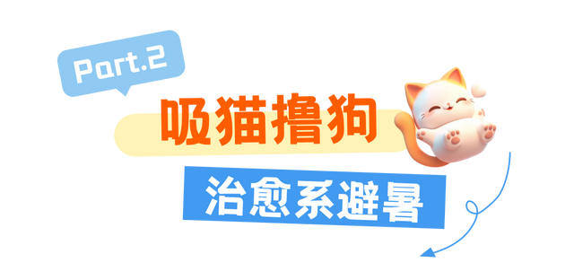 不惧高温！闵行这些地方，不仅避暑，还能与书香、萌宠等相伴