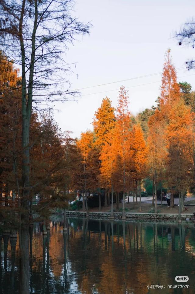 航旅融合 | 抽免费机票，来三明欣赏不一样的初冬景色！