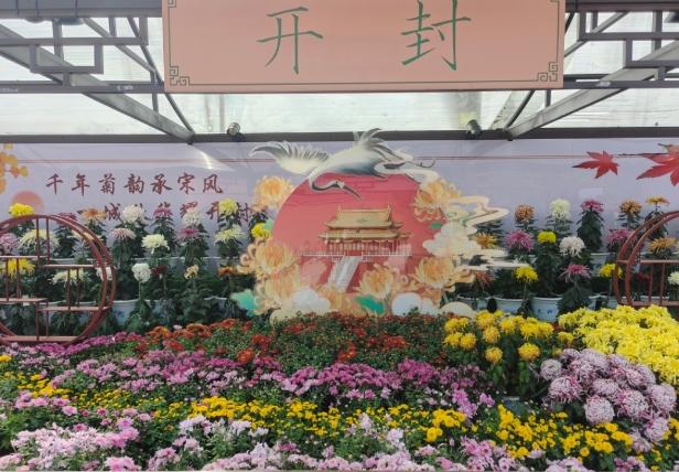 菊香满汴梁 盛会启新程——中国开封第43届菊花文化节暨第十五届中国菊花展览会开幕