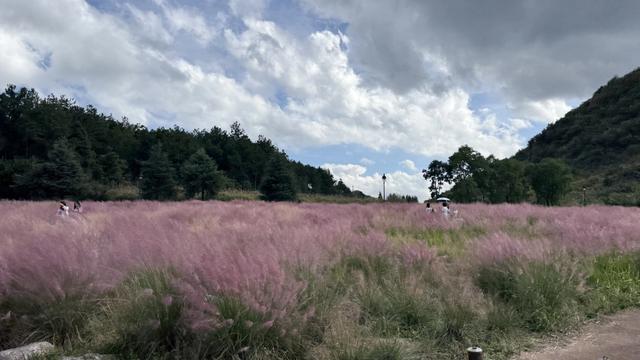 云漫湖轻松游，音乐、美景与福利齐享！解锁国庆双节假期新姿势