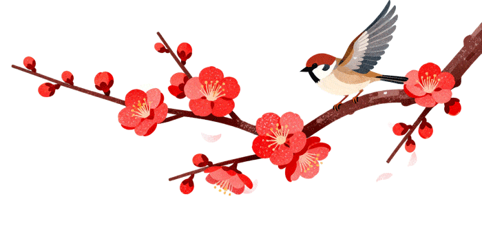 无锡人的顺意生活，藏在慢与淡里