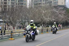武汉交警“手把手”教游客赏樱图片