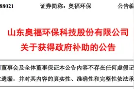 山东奥福环保科技股份有限公司获得政府补助130万元图片