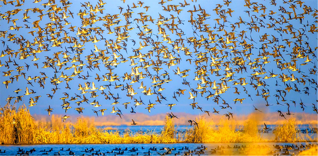 绿茵场外，研学正热！“宿超”点燃泗洪文旅新引擎