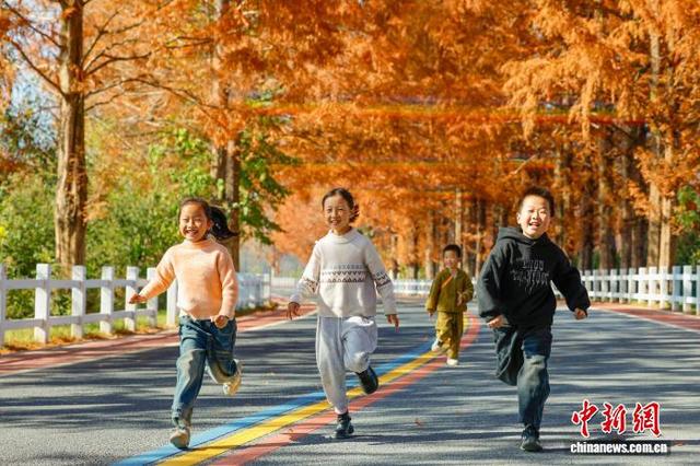 安徽休宁：冬韵铺展“艺术公路” 人车穿行入画来