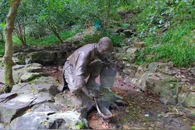 去杭州看东坡：沉醉西湖，不负西湖图片