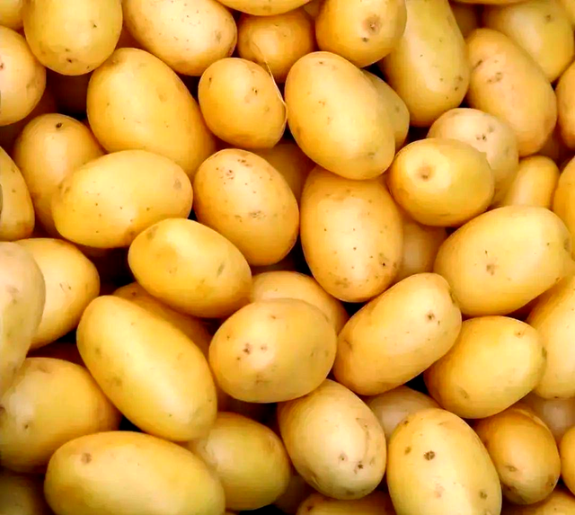 通辽惊现“机票刺客”！通辽新开通航线只要XXX元？