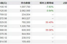 冯明远旗下基金三季报公布，继续重仓配置电子半导体行业图片