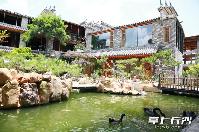 楚沩潮起处，文旅展新颜！宁乡市盘活存量资源、引进新兴项目，文旅产业提质增效展开新画卷