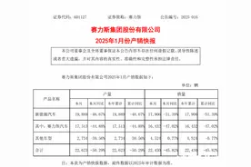赛力斯1月产销快报：新能源汽车销1.79万辆图片