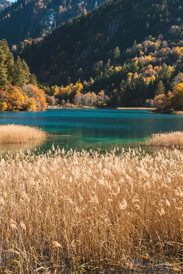 劝你别秋天去九寨沟，因为美得太“犯规”，会不想回来！