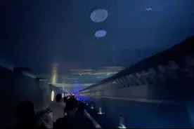 2024长江文明论坛｜在水下博物馆，感受文化与科技的融合图片