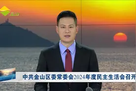中共金山区委常委会2024年度民主生活会召开视频封面