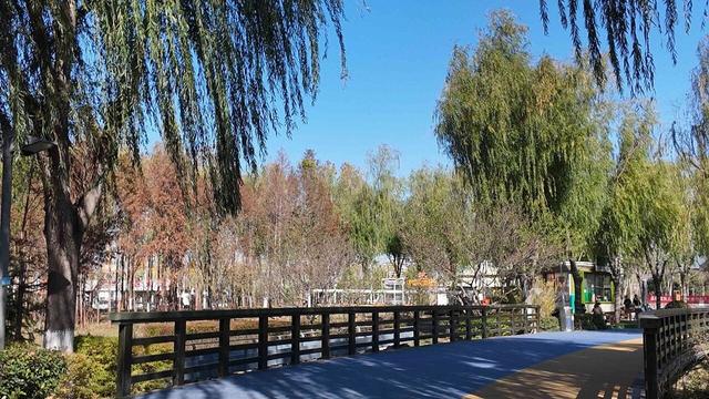 一键收藏！地铁直达的初冬漫步好去处！