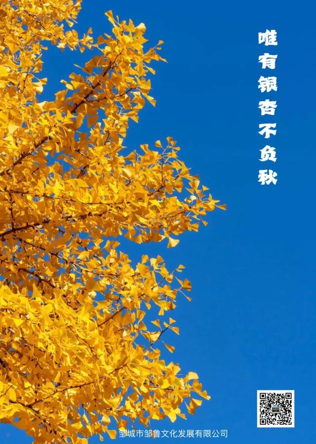 邹城这里刚拍到的......