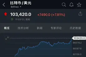 1枚比特币=10万美元？ 比特币会暴涨，也会暴跌图片