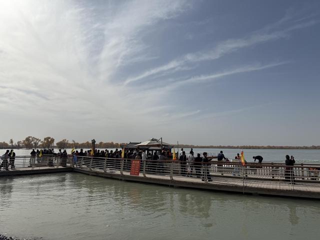 沙雅县2025年胡杨季启幕 世界最大胡杨林绽放金色魅力