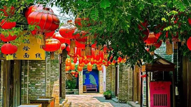 被圈“粉”！洛阳秋天的专属粉色浪漫藏在这些地方