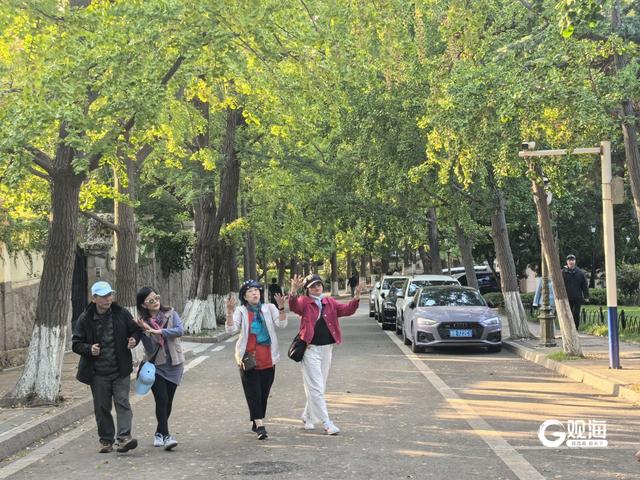 秋日晴好，青岛多个热门景点开启“游园模式”