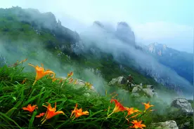 潮声丨天目山-清凉峰保护区，为啥能成“世界级”图片